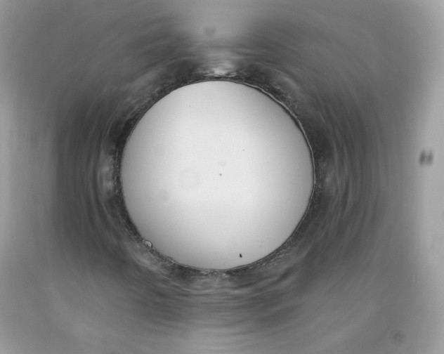 X0000091701442200709141050