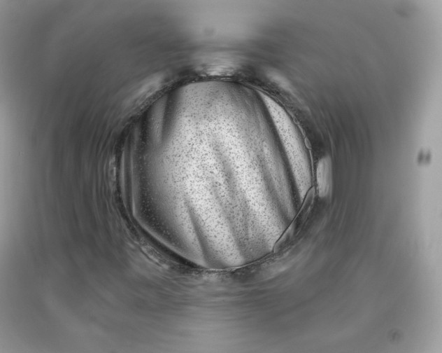 X0000091701443200709141050