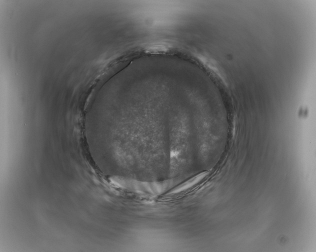 X0000091701445200709141050