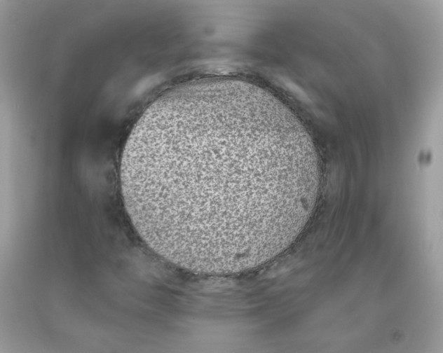 X0000091701446200709141050