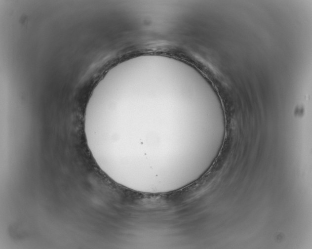 X0000091701447200709141050