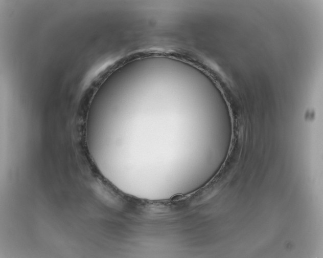 X0000091701448200709141050