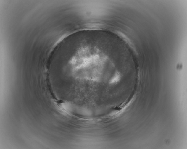 X0000091701449200709141050