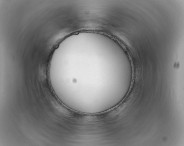 X0000091701451200709141050