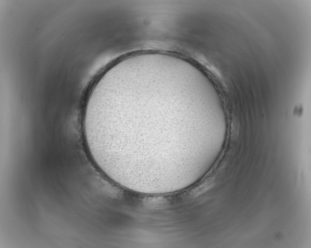 X0000091701454200709141050