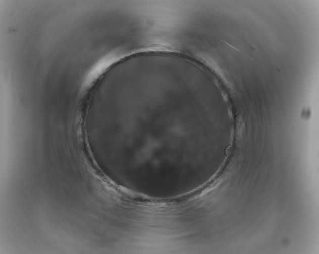 X0000091701455200709141050