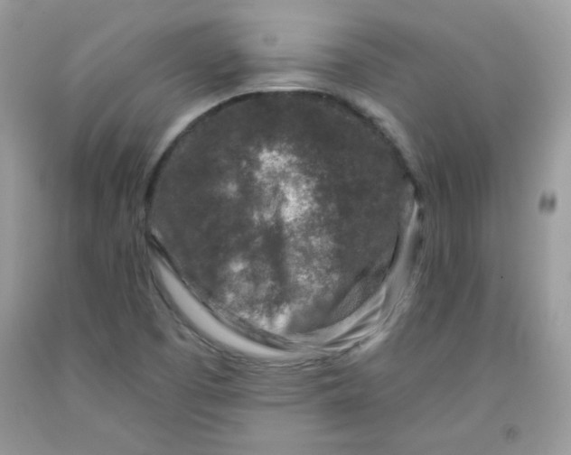 X0000091701457200709141050