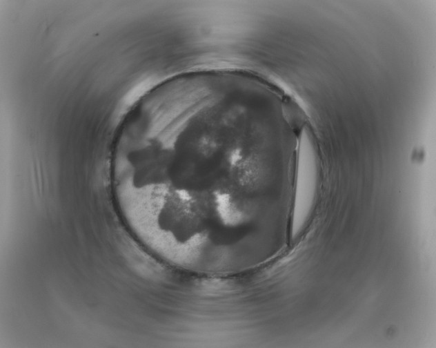 X0000091701459200709141050