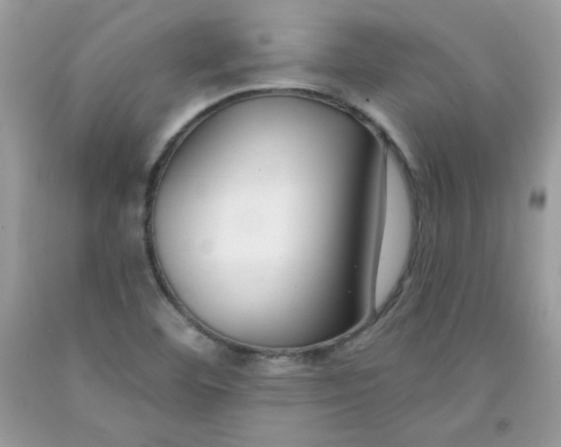 X0000091701460200709141050