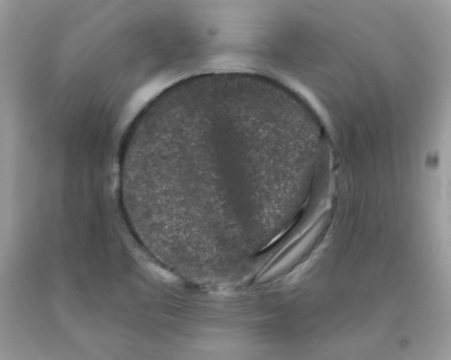 X0000091701461200709141050