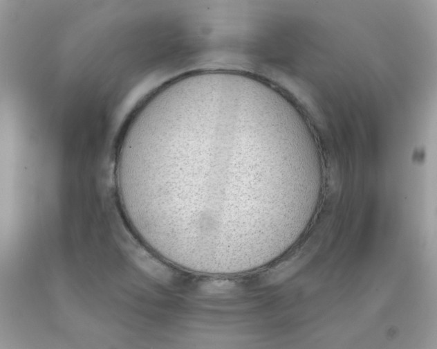 X0000091701462200709141050