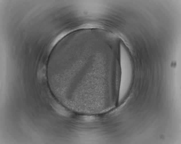 X0000091701465200709141050