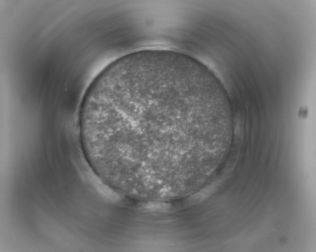 X0000091701466200709141050