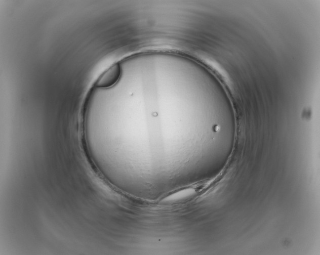 X0000091701467200709141050