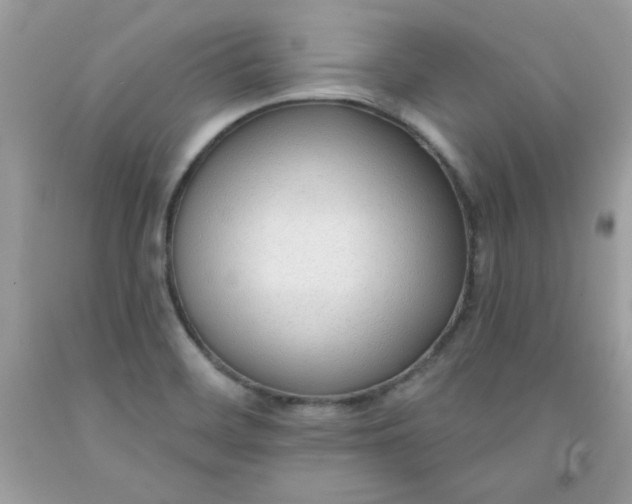 X0000091701468200709141050