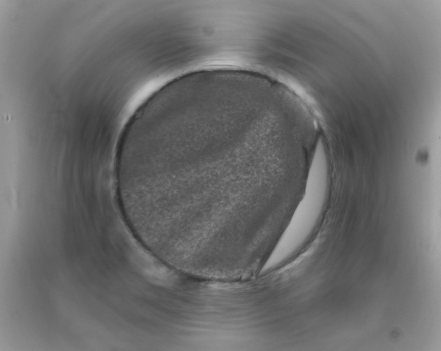 X0000091701469200709141050