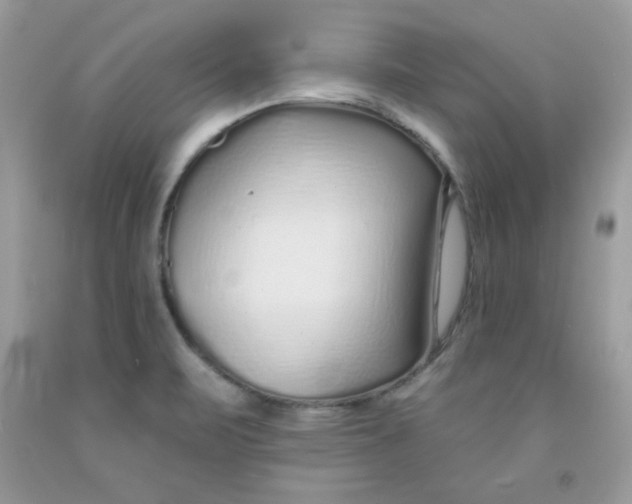 X0000091701471200709141050