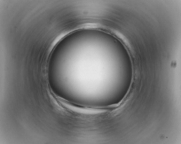 X0000091701473200709141050