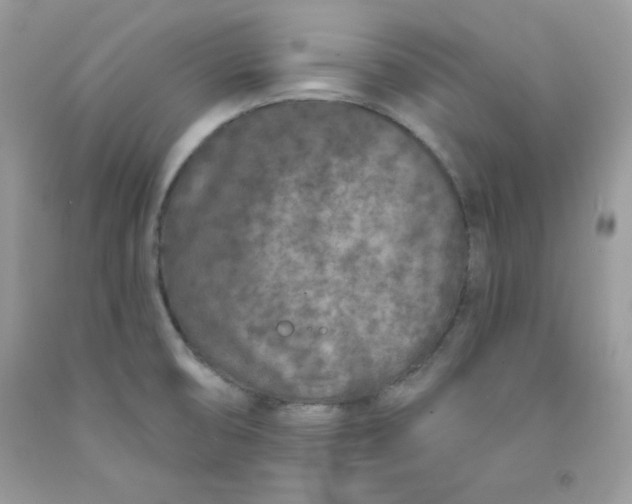 X0000091701474200709141050