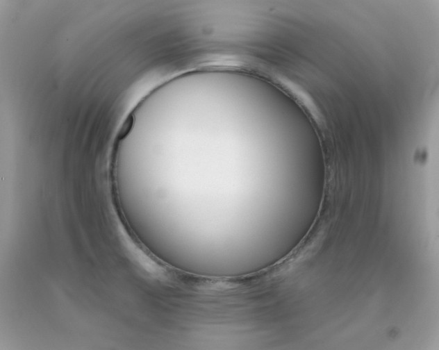 X0000091701475200709141049