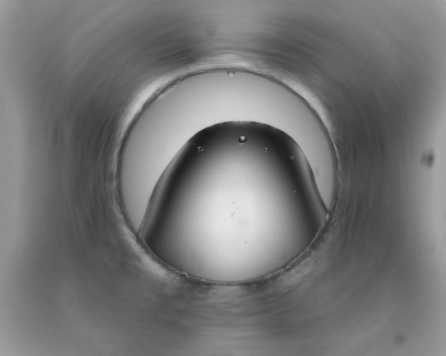 X0000091701477200709141049