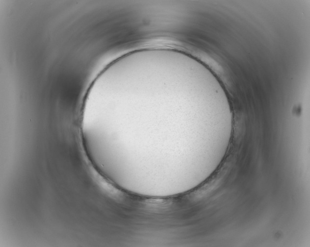 X0000091701478200709141049