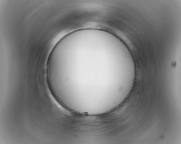 X0000091701479200709141049