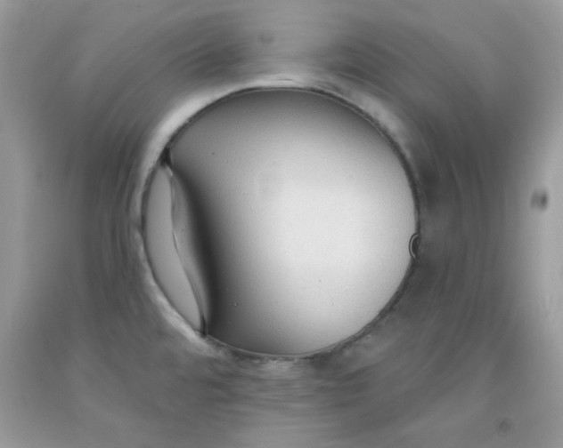 X0000091701480200709141049