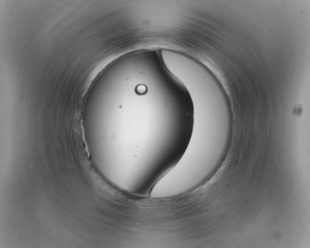 X0000091701481200709141049