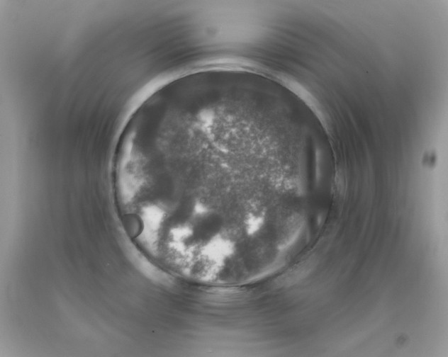 X0000091701482200709141049