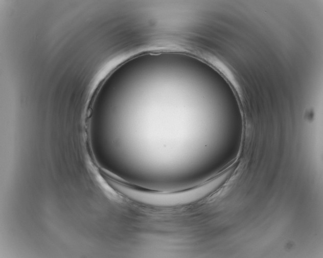 X0000091701485200709141049