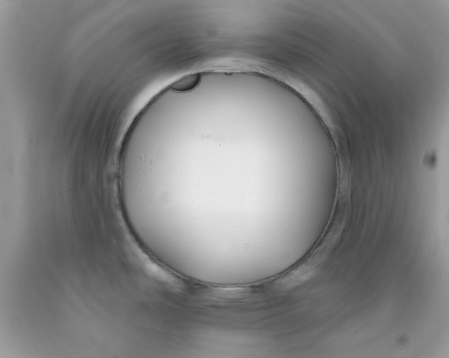 X0000091701486200709141049