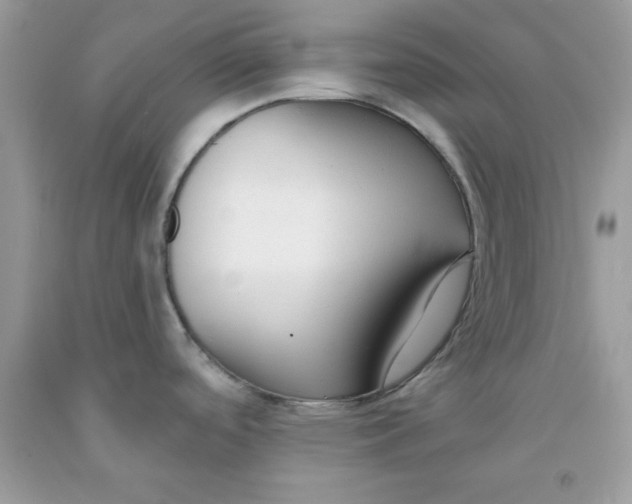 X0000091701488200709141049