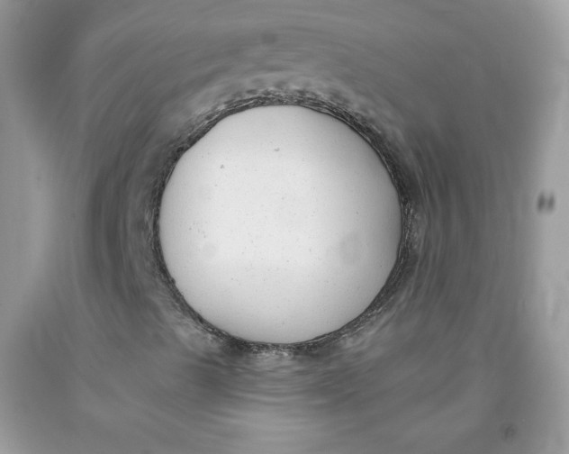 X0000091701489200709141049