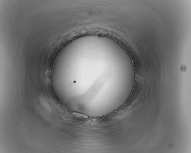 X0000091701490200709141049