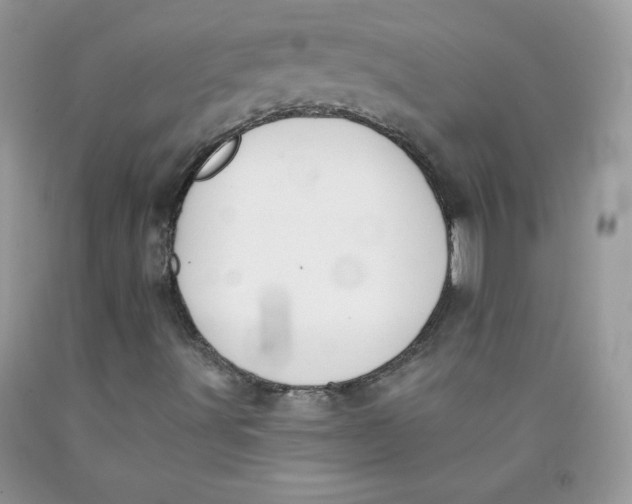 X0000091701491200709141049