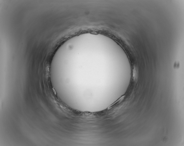 X0000091701492200709141049