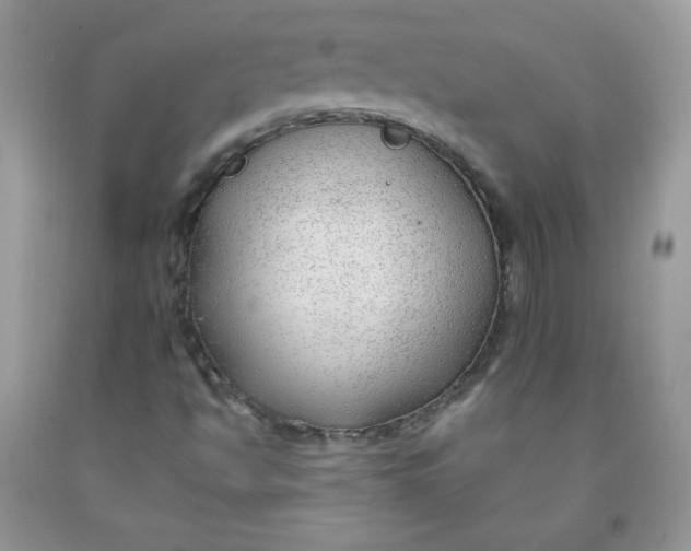 X0000091701494200709141049