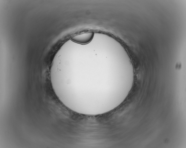 X0000091701495200709141049