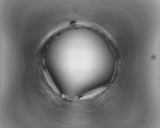 X0000091701496200709141049