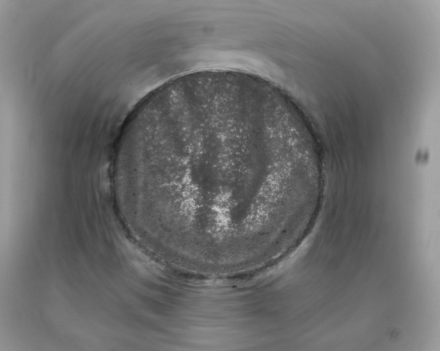 X0000091701497200709141049