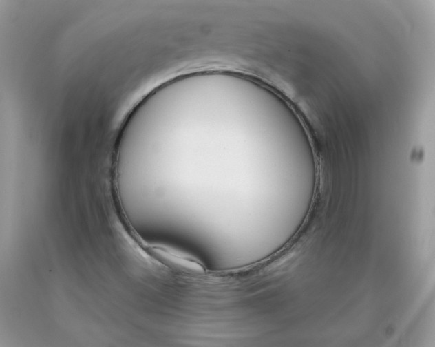 X0000091701500200709141049