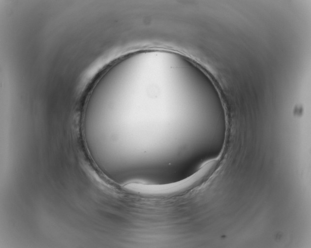 X0000091701503200709141049