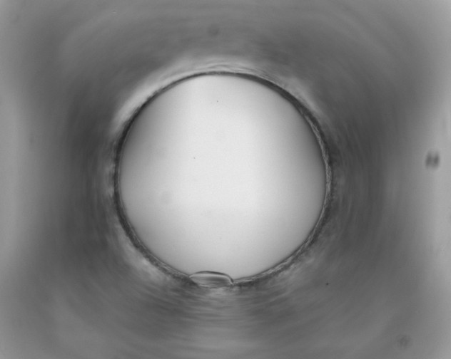 X0000091701504200709141049