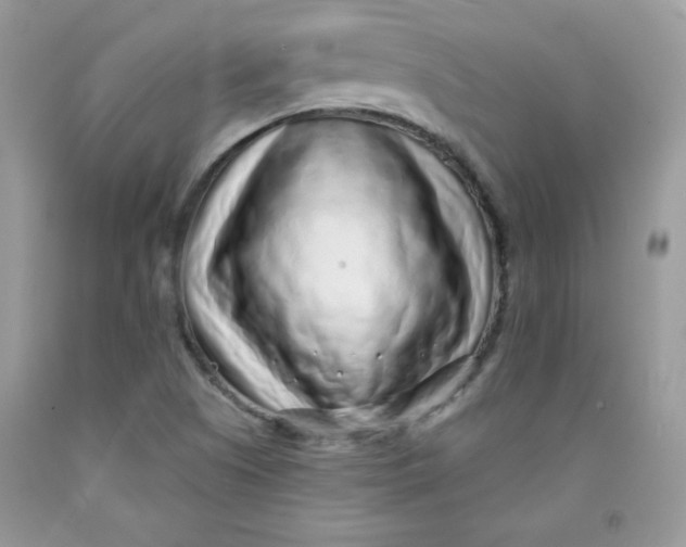 X0000091701505200709141049