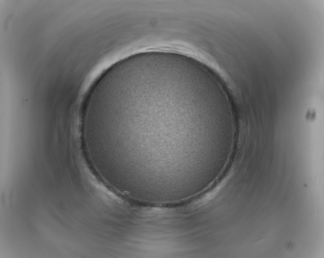 X0000091701506200709141049