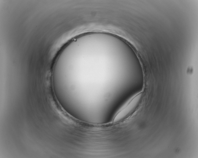 X0000091701507200709141049