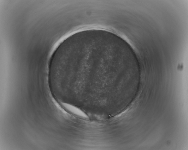 X0000091701508200709141049