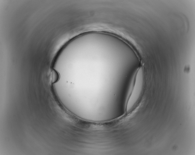 X0000091701509200709141049