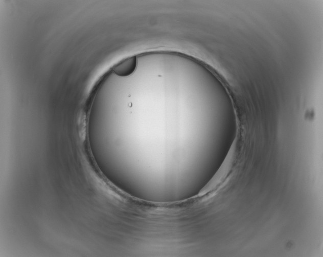 X0000091701510200709141049